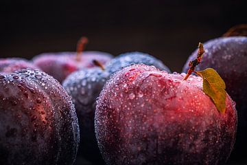Plums with drops - freshness in the dark