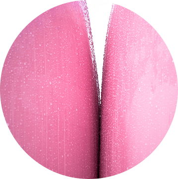 Kinky Pink van Sonja Pixels
