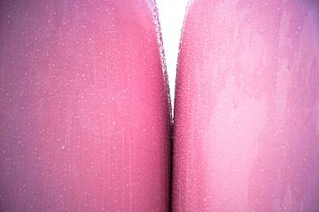 Kinky Pink van Sonja Pixels