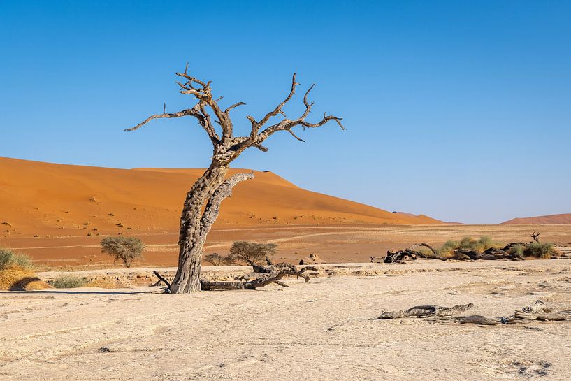 Dodevlei_5, Sesriem, Namibia by antonvanbeek.nl