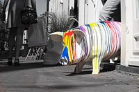 Overlooking the shopping street