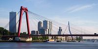 Willemsbrug en Erasmusbrug met spiegelglad water van Mark De Rooij thumbnail
