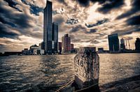 Kop van Zuid in Rotterdam