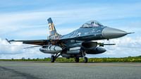 F-16A 31 smaldeel
