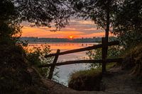 Sunrise Fence