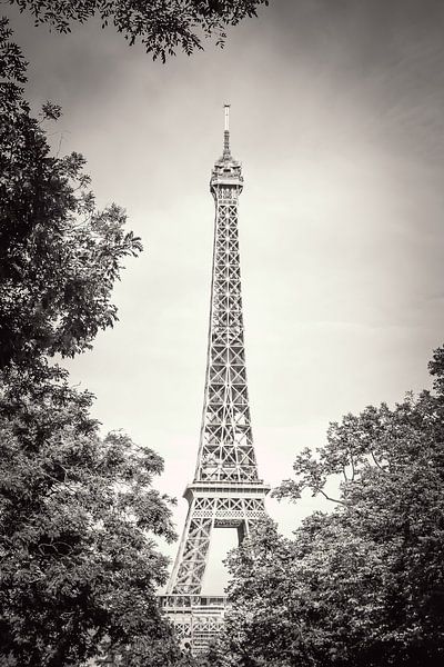 Paris von Bianca  Hinnen
