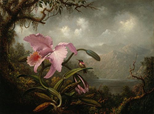 Orchidee en kolibrie, Martin Johnson Heade...