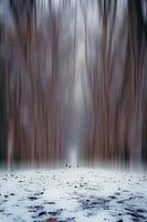 Impression d'hiver