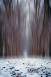 Winterimpression von Zoltan Horvath