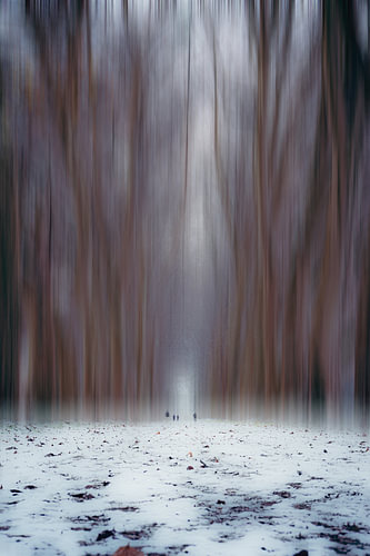 Winterimpression