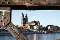 De Dom van Maagdenburg, het herkenningspunt van de stad van Heiko Kueverling thumbnail