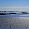 Waddenwereld in blauw en zilver van ArtelierGerdah