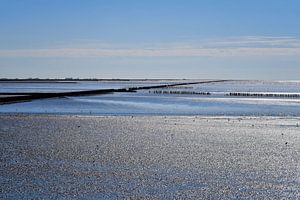 Waddenwereld in blauw en zilver