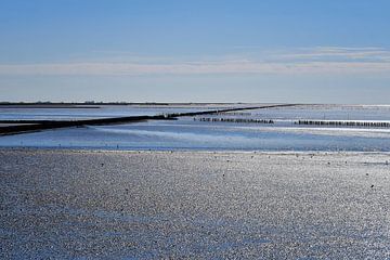 Le monde de la mer des Wadden en bleu et argent sur ArtelierGerdah