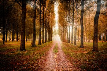 Une belle journée d'automne