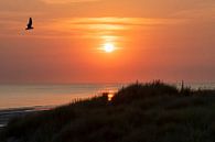Sunset in Zeeland by Peter Bartelings thumbnail