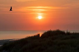 Sunset in Zeeland