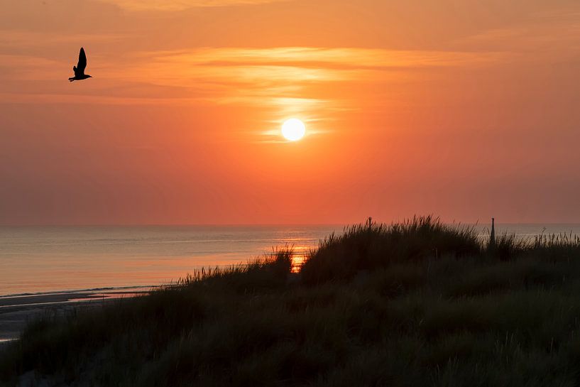 Sunset in Zeeland by Peter Bartelings