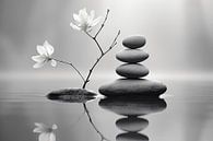 Zen Moment #4 von Skyfall Miniaturansicht