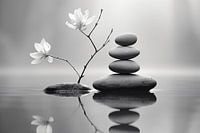 Zen moment #4