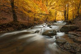 Waterfall by Erik Bilstra