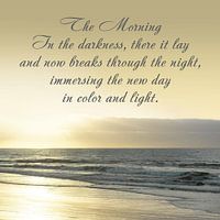 The Morning