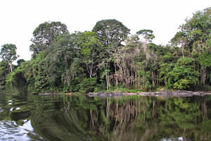 Fluss im Amazonas-Regenwald (4)