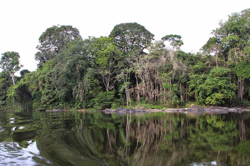 Fluss im Amazonas-Regenwald (4) von rene marcel originals