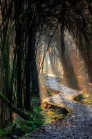 Magisch pad
