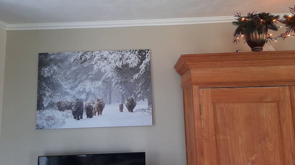 Une famille sur la route pendant une tempête de neige  par Laura Vink 