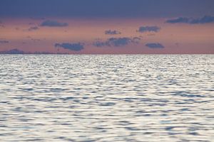 On shore of the Baltic Sea sur Rico Ködder