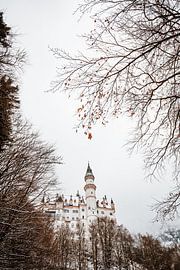 Alpsee | Winter in de Alpen van Nanda van der Eijk