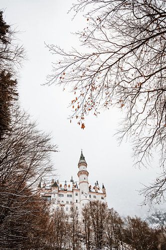 Alpsee | Winter in de Alpen