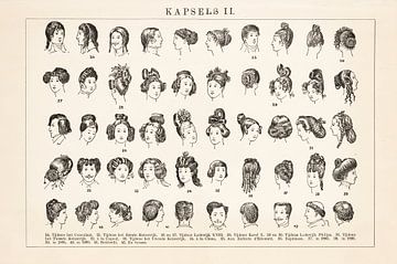 Vintage gravure Kapsels II van Studio Wunderkammer