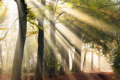 Simple and beautiful