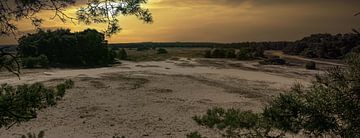 Wekerom-Sande - Sandbuschgebiet von Eric Wander