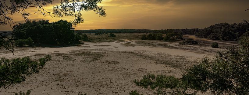 Wekerom sands - Sand scrub area by Eric Wander