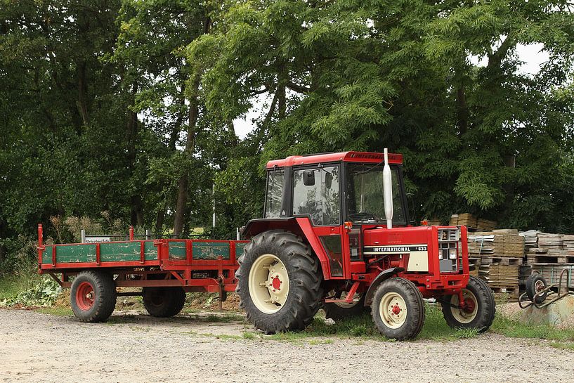 International Harvester 633 von Anja Bagunk