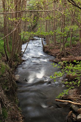The river