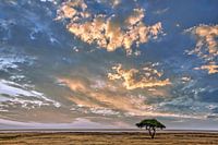 Wolkenstimmung über dem Etosha Nationalpark Namibia