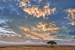 Nuages au-dessus du parc national d'Etosha, Namibie sur W. Woyke