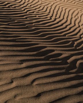 Detail van zand en woestijn in het duingebied Maspalomas van Myrthe Slootjes