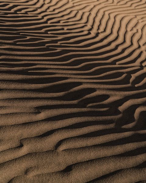 Détail du sable dans la zone dunaire de Maspalomas par Myrthe Slootjes