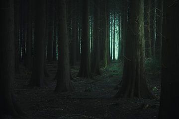 Where the Forest Knows your Name van Daniel Laan