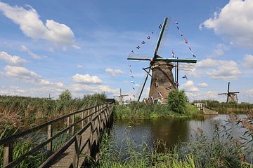 Moulins traditionnels sur le kinderdike par une belle journée d'été, décorés de drapeaux néerlandais sur W J Kok