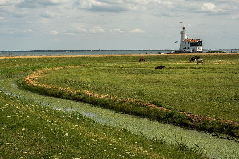 Paard van Marken in een Hollands landschap par Susan van der Riet