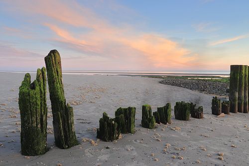 Palenrij Hollum bij zonsondergang