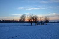 snow
