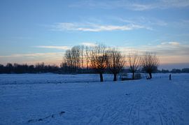 snow von Corinne Alferink