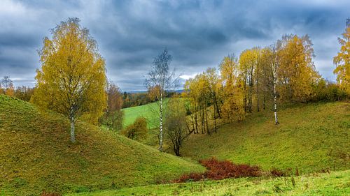 Ein Blick auf die erstaunliche und idyllische norwegische Landschaft. Herbstbild mit Bergen und Flüssen.